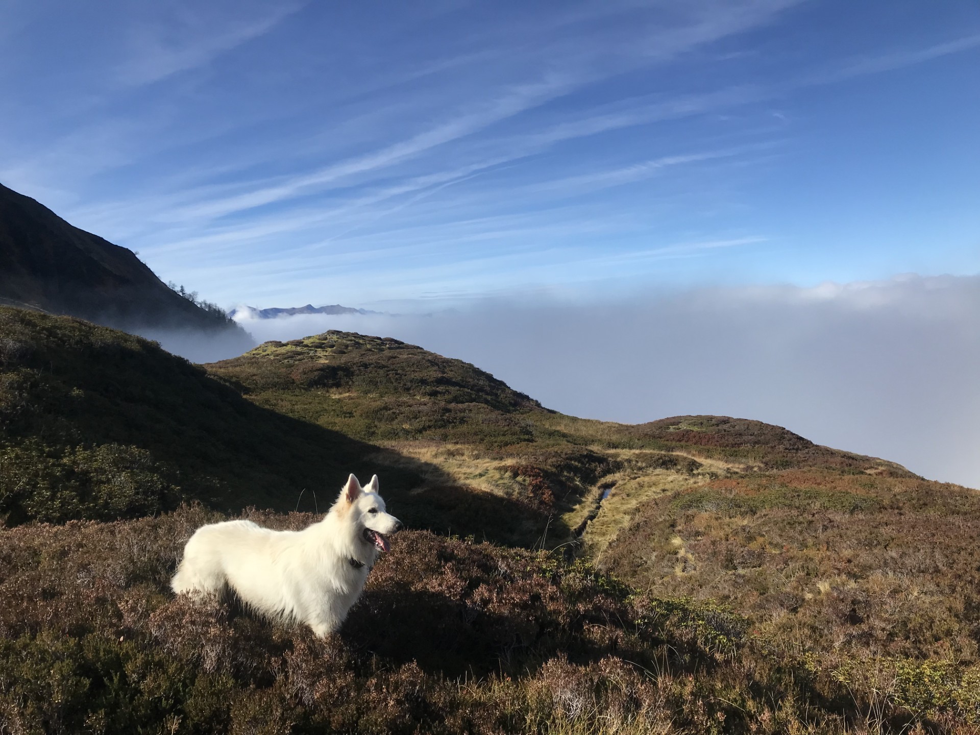 Canirando plateau d'Uls