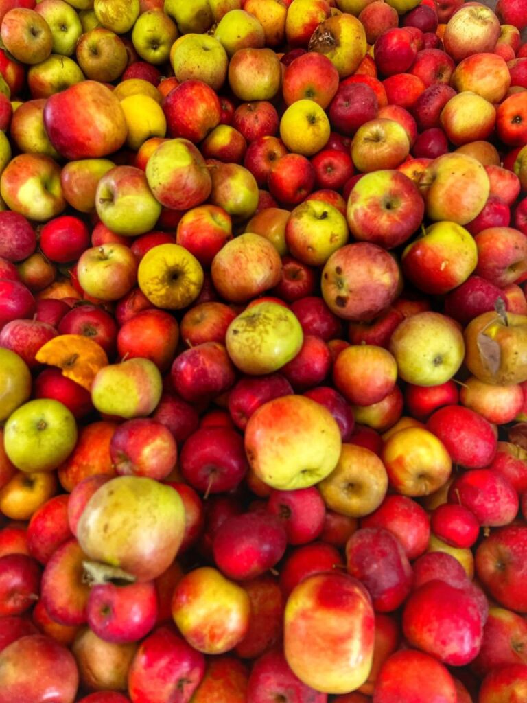 Fête de la pomme à Sauveterre-de-Comminges