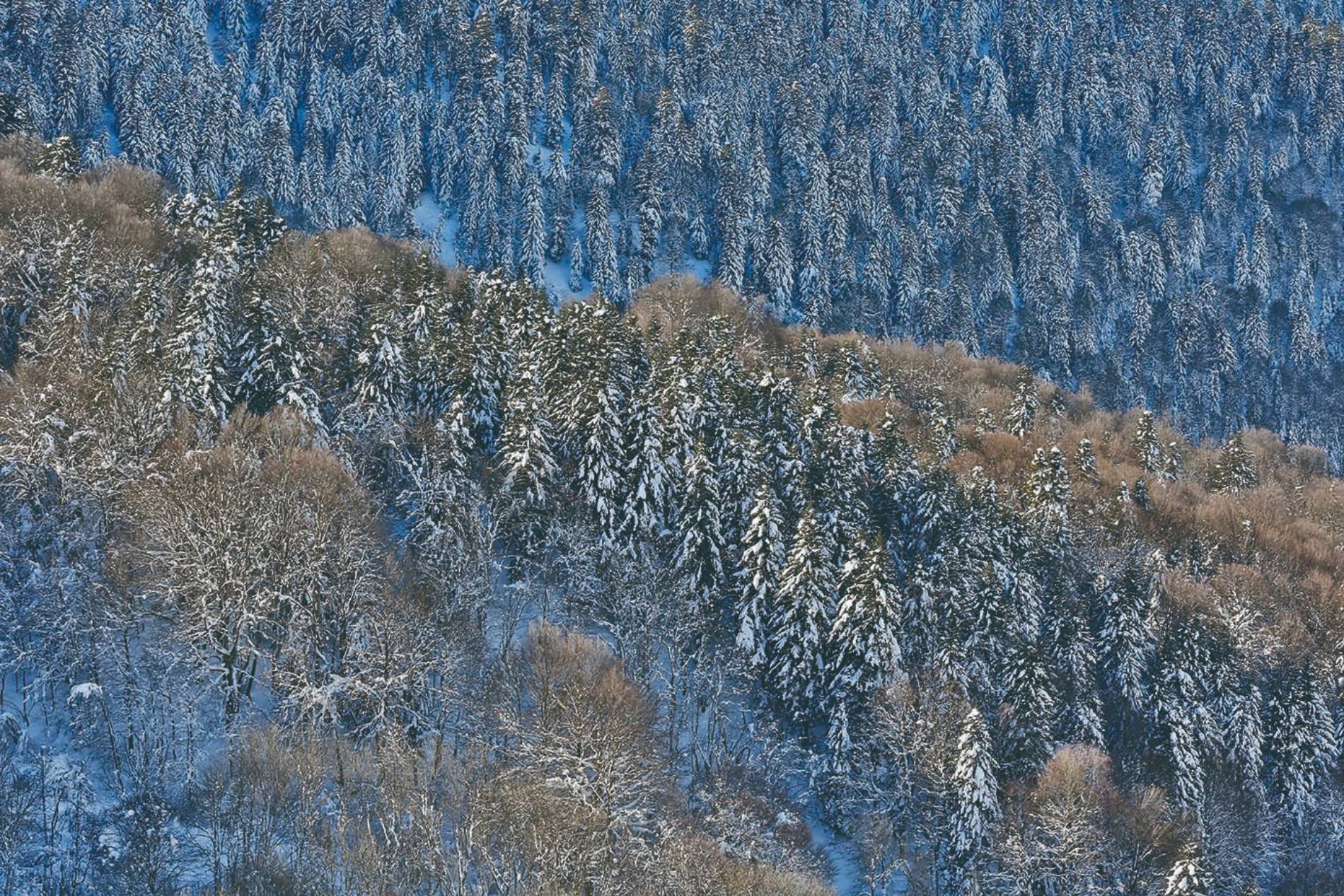 le mourtis pyrénées