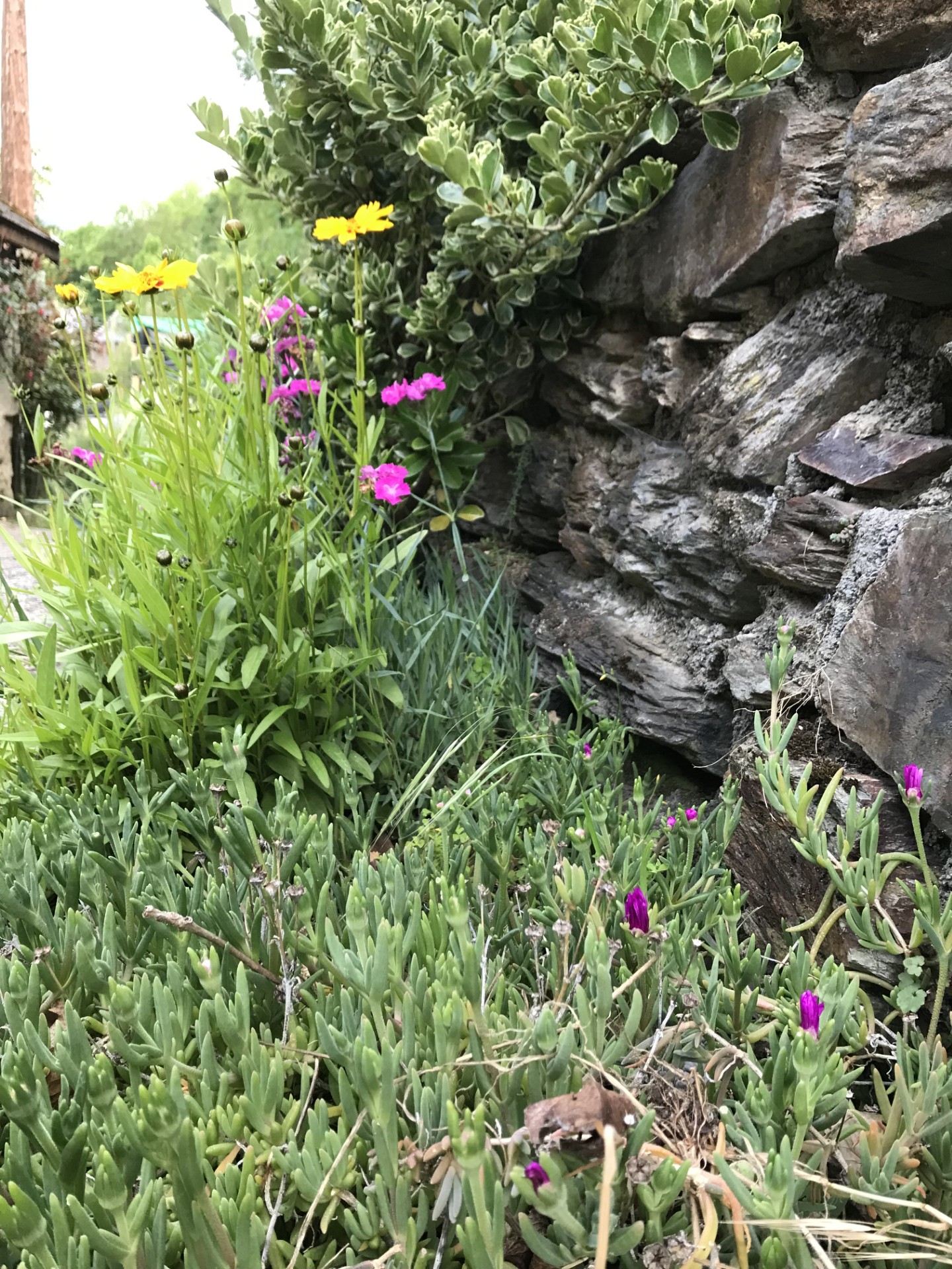 Villages fleuris Pyrénées Haut-Garonnaises Luchon Melles Luscan Génos, Burgalays