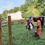 Les Destriers de St-Bertrand