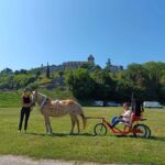 Les Destriers de St-Bertrand