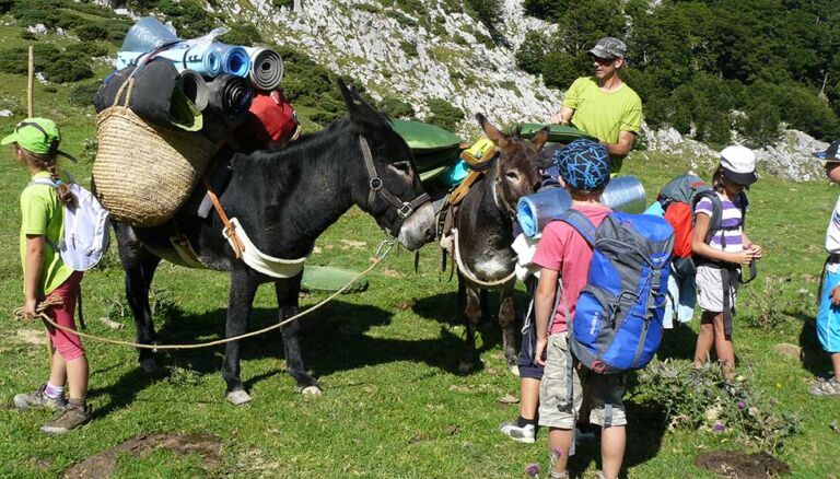 centre de loisirs sauvetterre