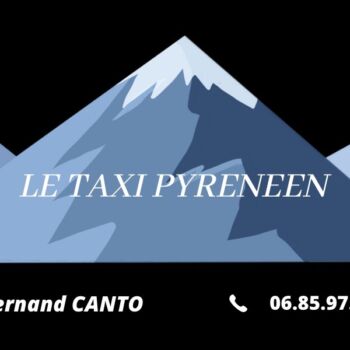 taxipyreneen-logo-luchon-pyrenees31